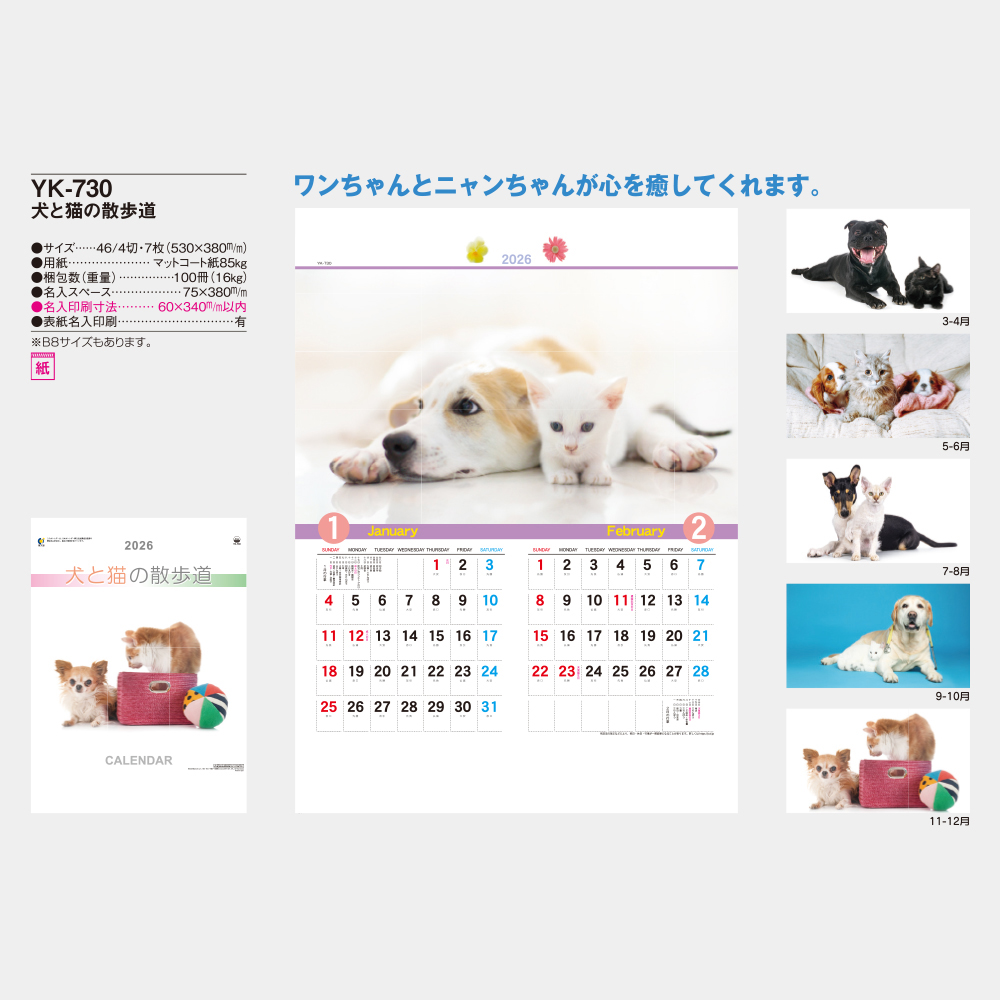 YK-730　犬と猫の散歩道 5