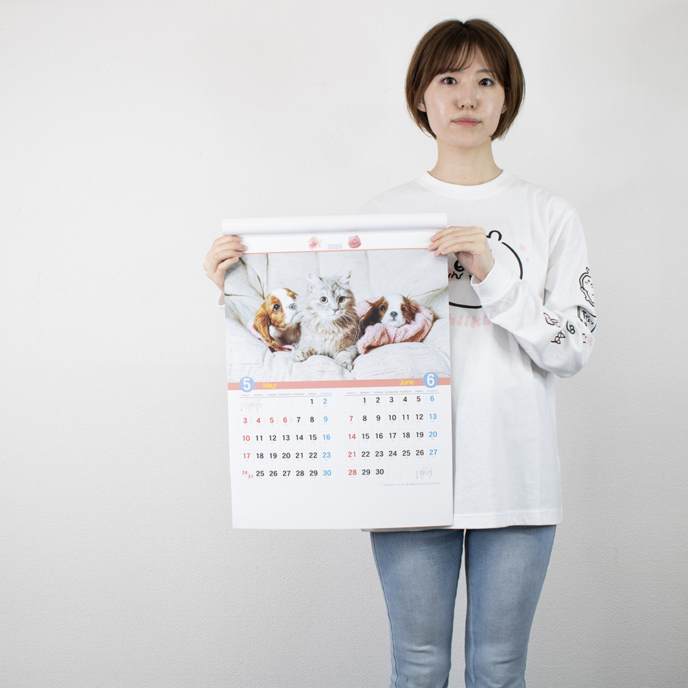 YK-730　犬と猫の散歩道 4