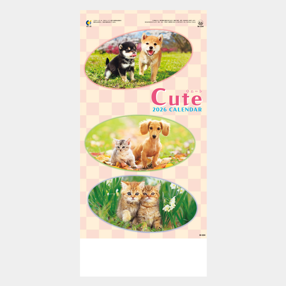 ic-234 キュート(CUTE) 2
