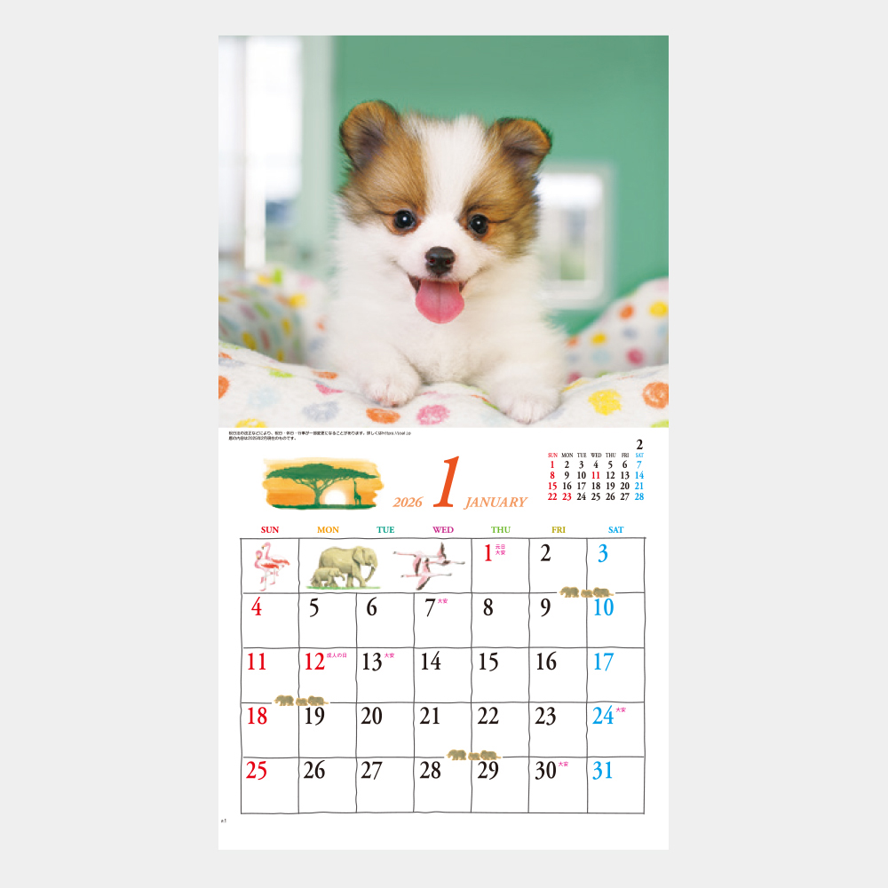 ic-234 キュート(CUTE) 1