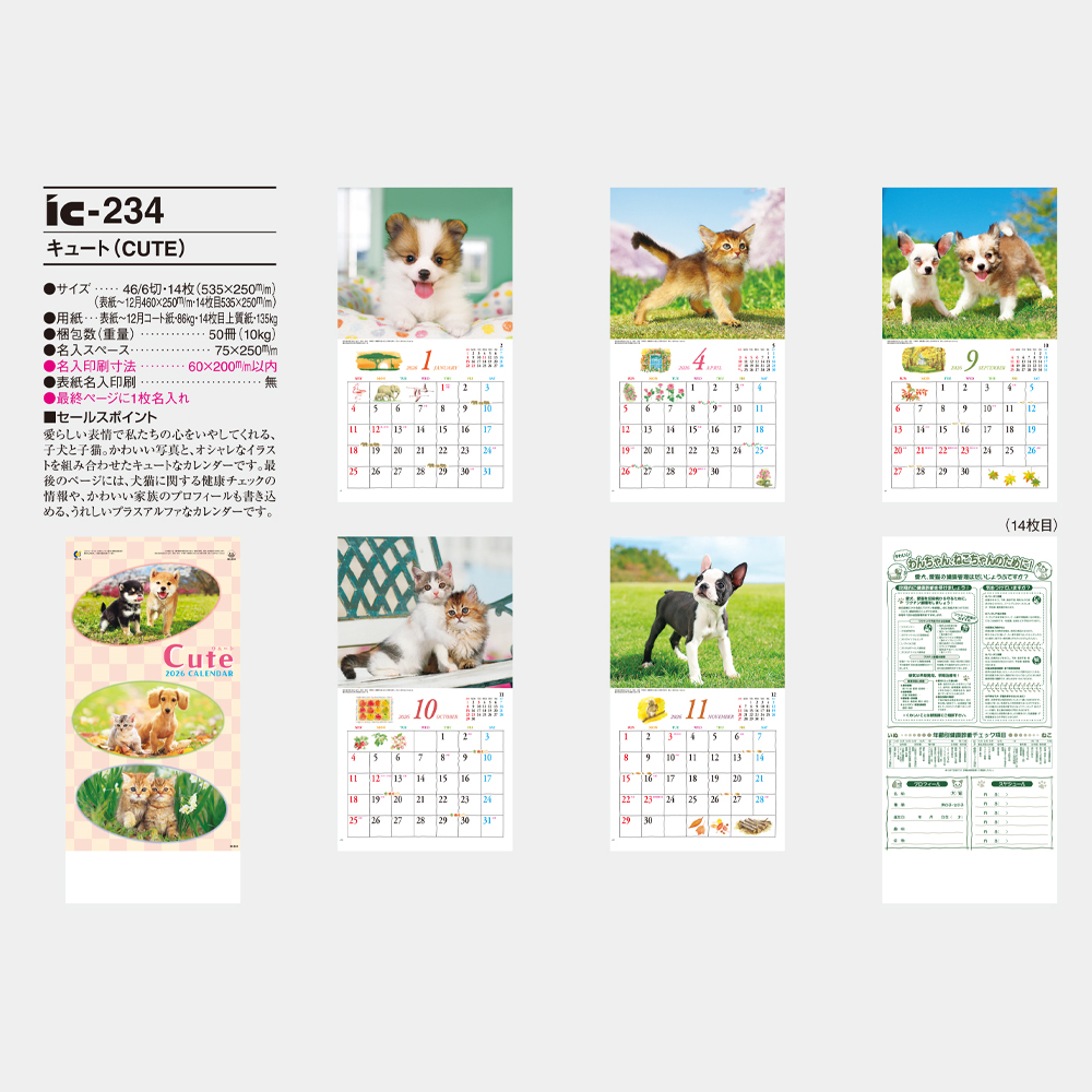 ic-234 キュート(CUTE) 3