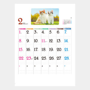 ic-262　Dear Family（ディアファミリー） 1