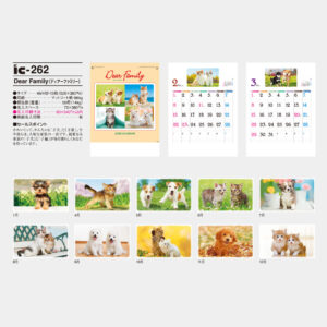 ic-262　Dear Family（ディアファミリー） 3