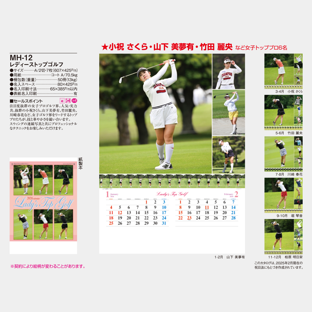 MH-12 レディーストップゴルフ 5
