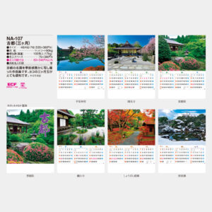 NA-107　古都（三ヶ月） 3