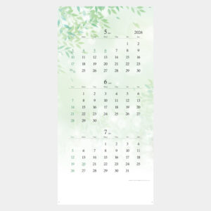 NA-142　Nature Three Months（ネイチャースリーマンス） 1