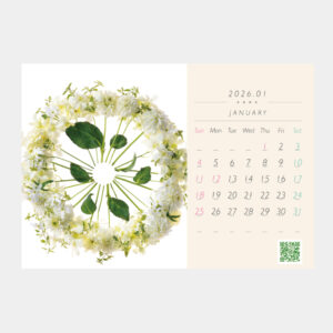 NC-205 卓上・博多人形(華) 2