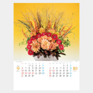 NC-4　フラワーモード 1