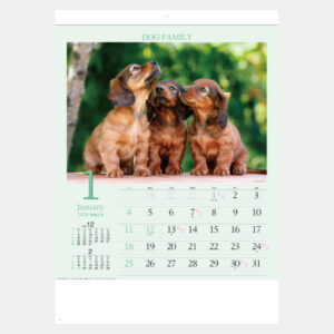 ND-107　ドッグファミリー 1