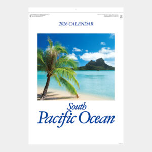 ND-119　パシフィックオーシャン 2