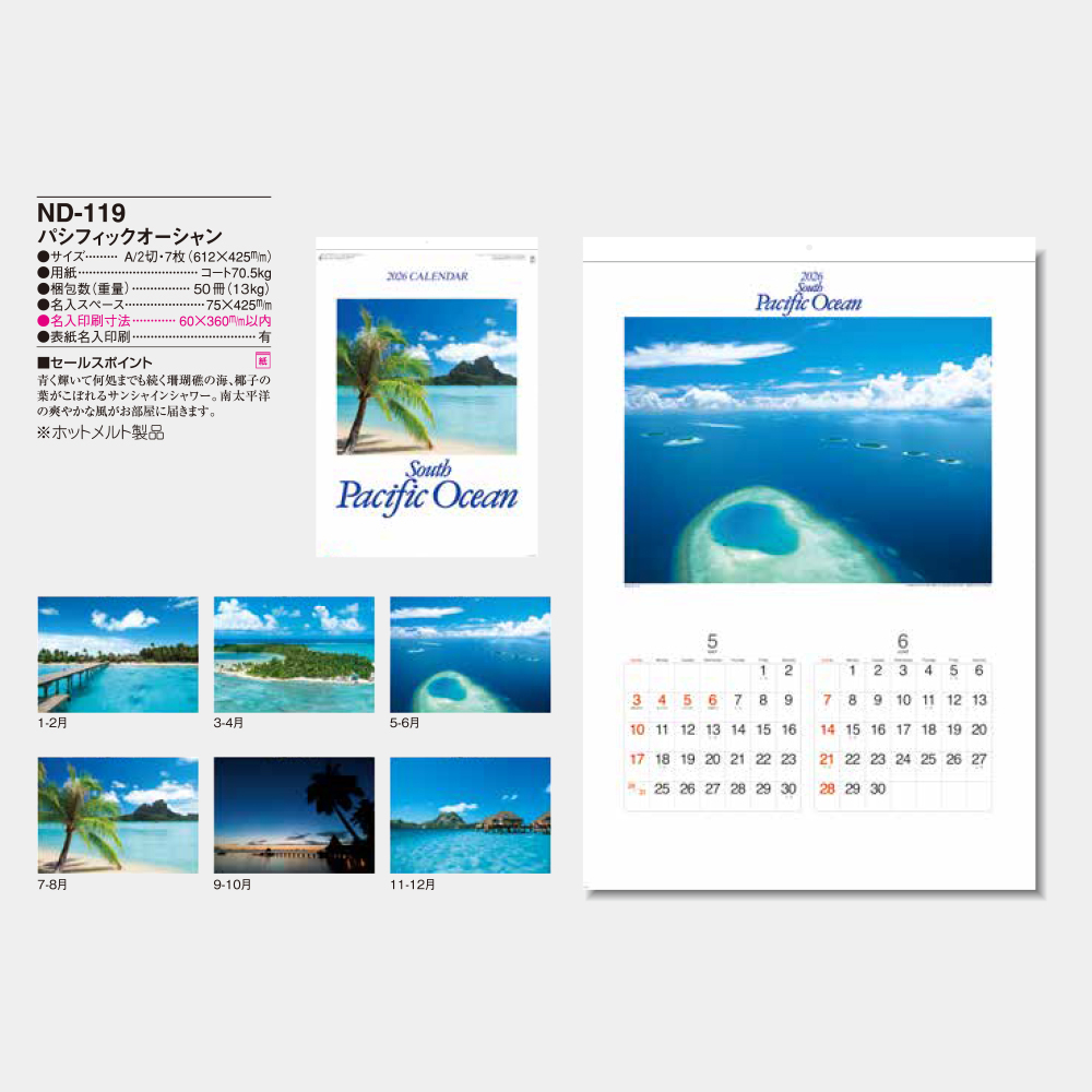 ND-119　パシフィックオーシャン 3