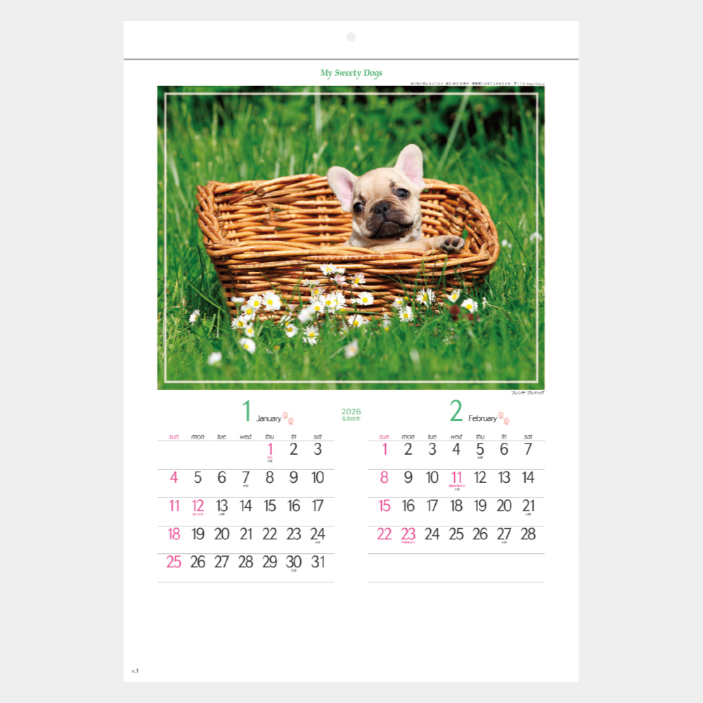 ND-131　マイスウィーティードッグ 1