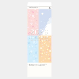 ND-212 3MONTHS-COLOR 2