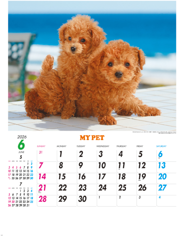 NK-109 マイペット