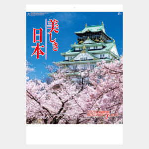 NK-110　美しき日本 2