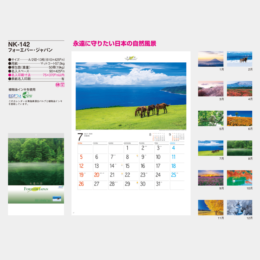 NK-142　フォーエバージャパン 3