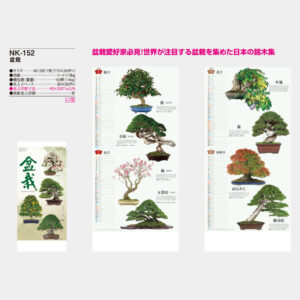 NK-152　盆栽 3