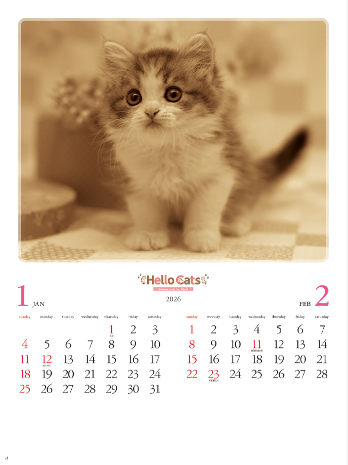 NK-27 ハローキャッツ