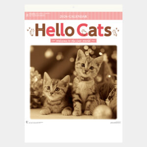 NK-27　ハローキャッツ 2