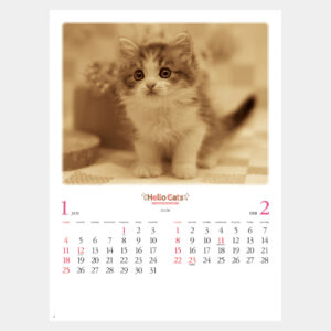 NK-27　ハローキャッツ 1