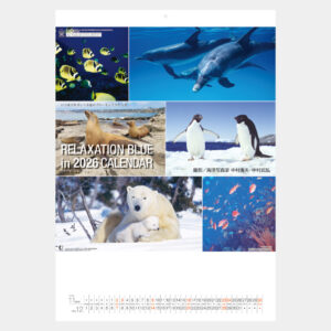 NK-32　リラクゼーション ブルー 2