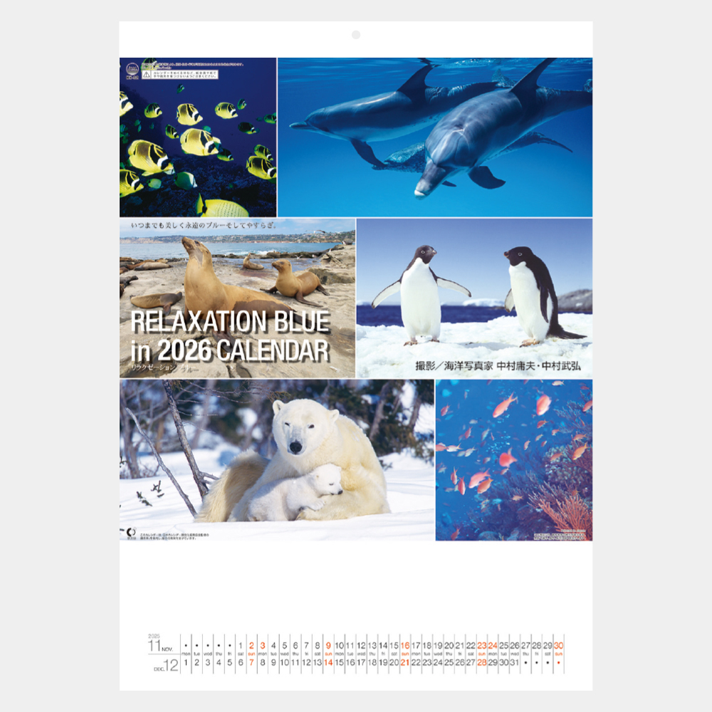 NK-32　リラクゼーション ブルー 2