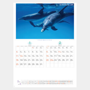 NK-32　リラクゼーション ブルー 1