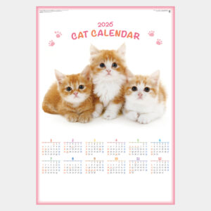 NK-349　ペット（猫） 1