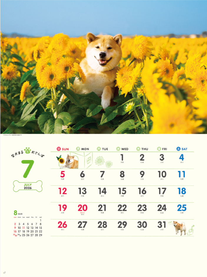 NK-35 柴犬まるとおさんぽカレンダー