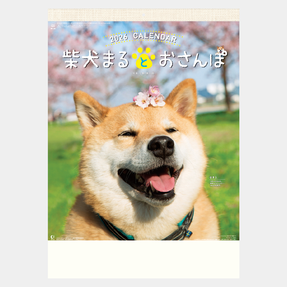 NK-35　柴犬まるとおさんぽカレンダー 2