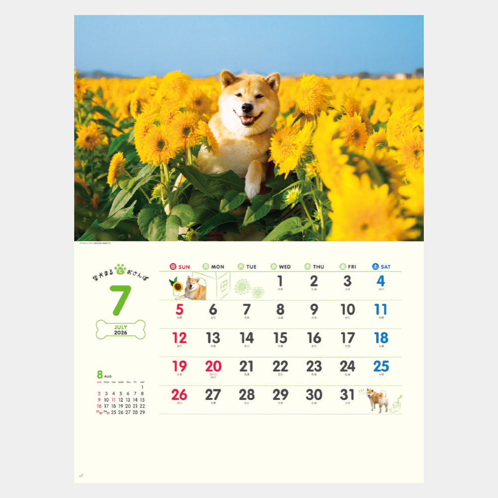 NK-35　柴犬まるとおさんぽカレンダー 1