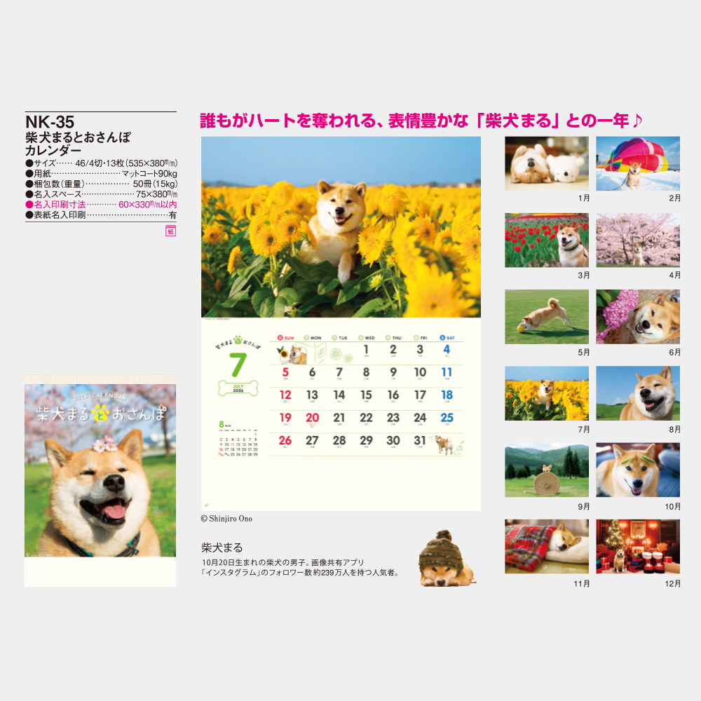 NK-35　柴犬まるとおさんぽカレンダー 3