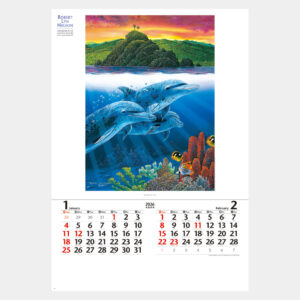 NK-402　フィルム　ブルーファンタジー 1