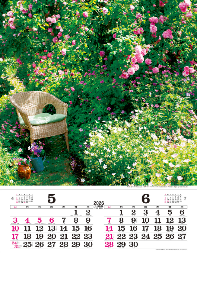 NK-405 トーハン・DX イングリッシュガーデンフィルム