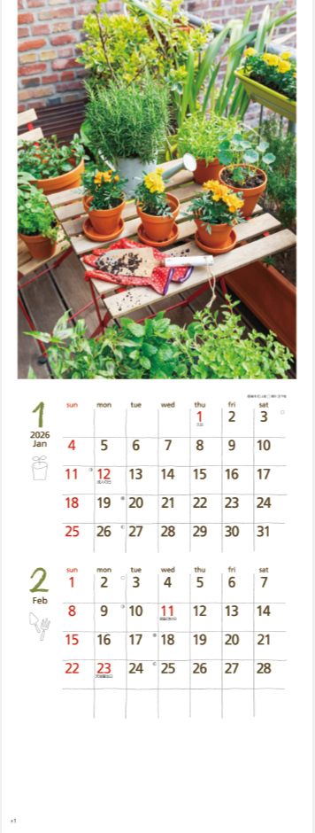 NK-428 スモールグリーン