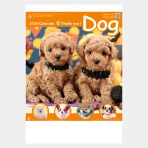 NK-454　サンキュードッグ 2