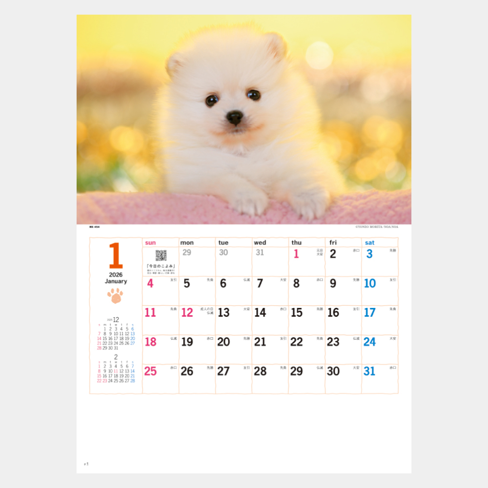 NK-454　サンキュードッグ 1