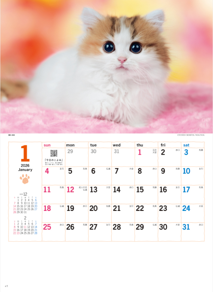 NK-455 サンキューキャット