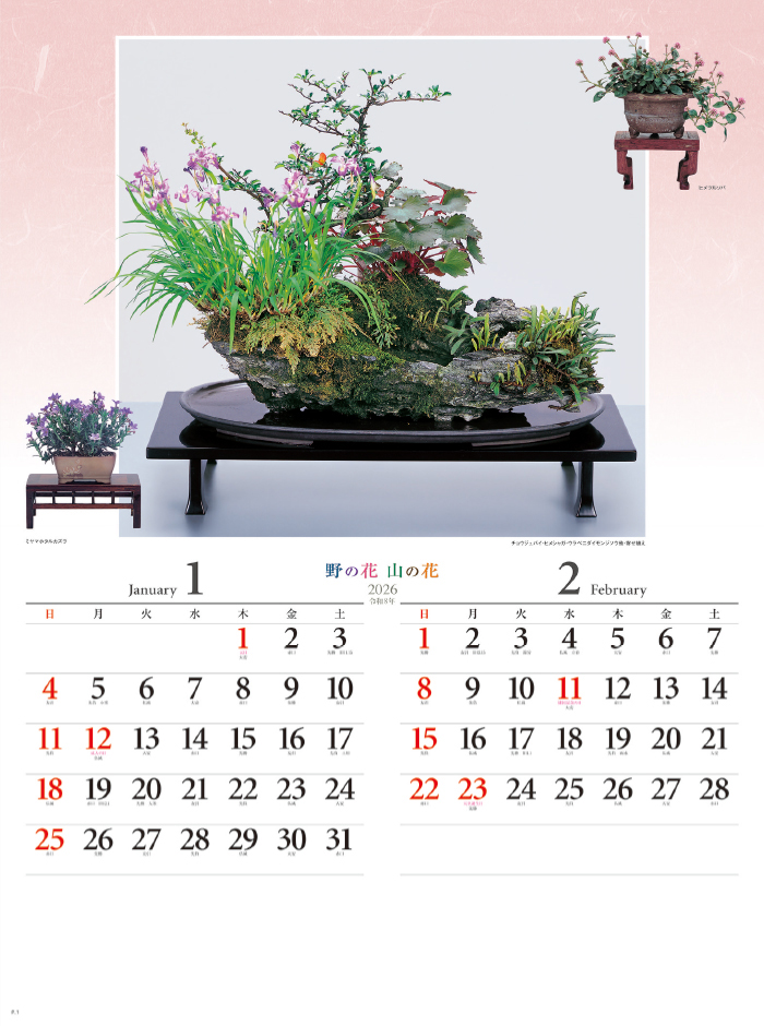 NK-46 野の花・山の花(山野草盆栽集)