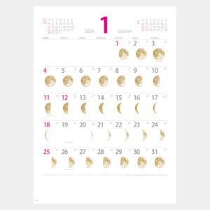 NK-464　ゴールドムーン 1