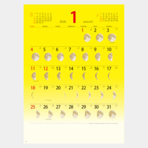 YG-58　ラッキームーン 1