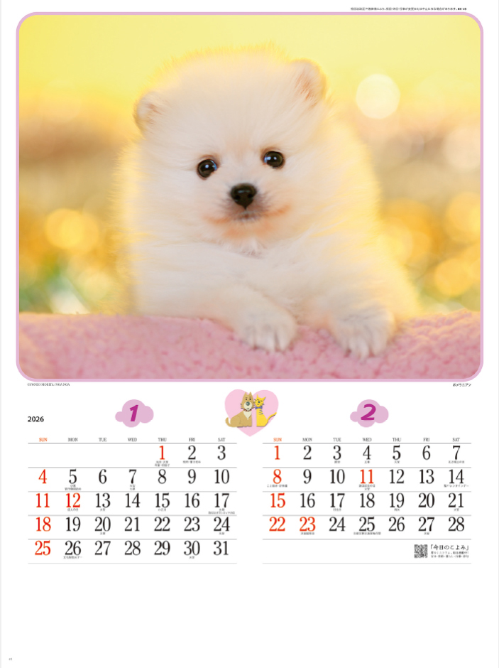 NK-49 チャーミングメイト