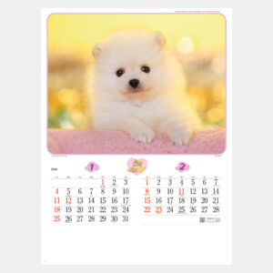 NK-49 チャーミングメイト 1