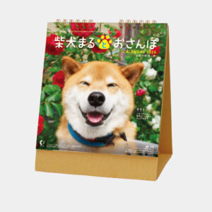NK-529　卓上カレンダー 柴犬まるとおさんぽ 1