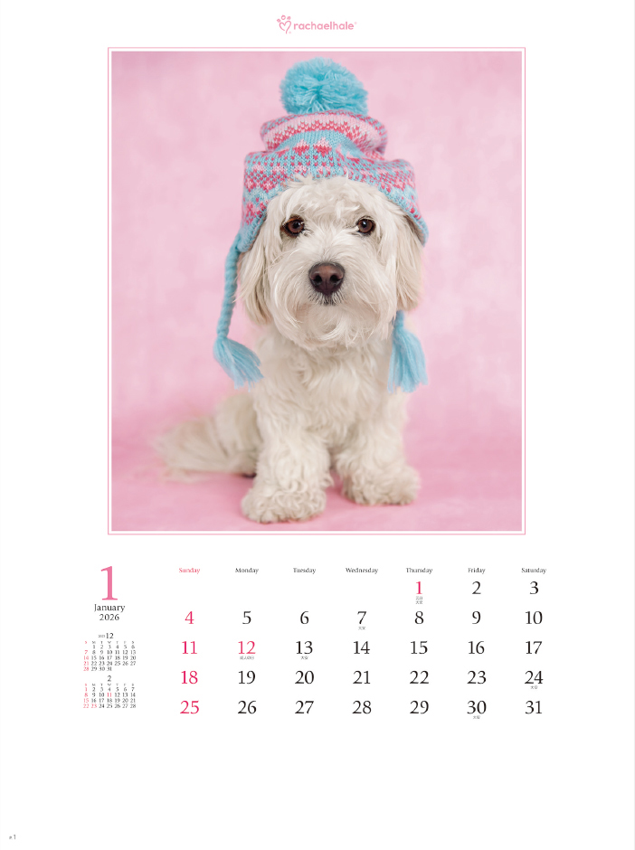 NK-89 アニマル・フレンズ（レイチェル・ヘイル作品集）