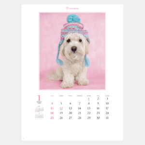 NK-89　アニマル・フレンズ（レイチェル・ヘイル作品集） 1