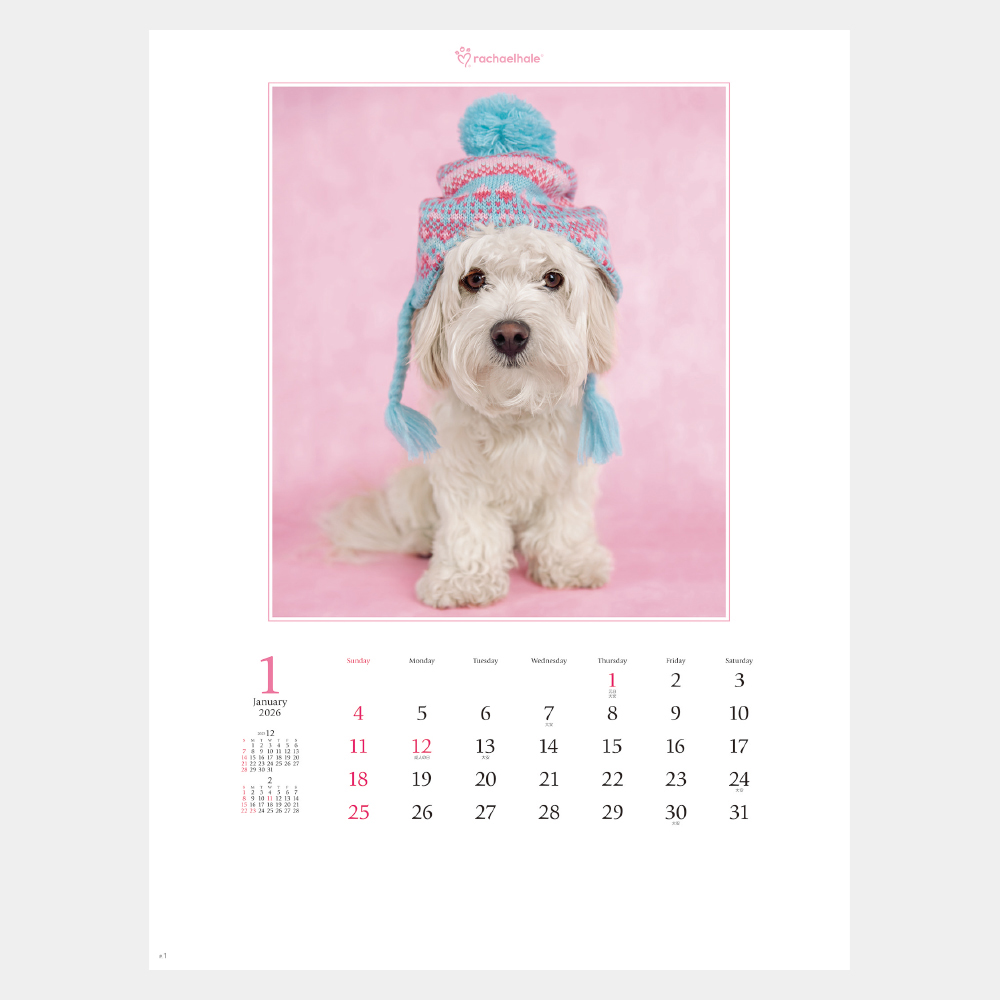 NK-89　アニマル・フレンズ（レイチェル・ヘイル作品集） 1