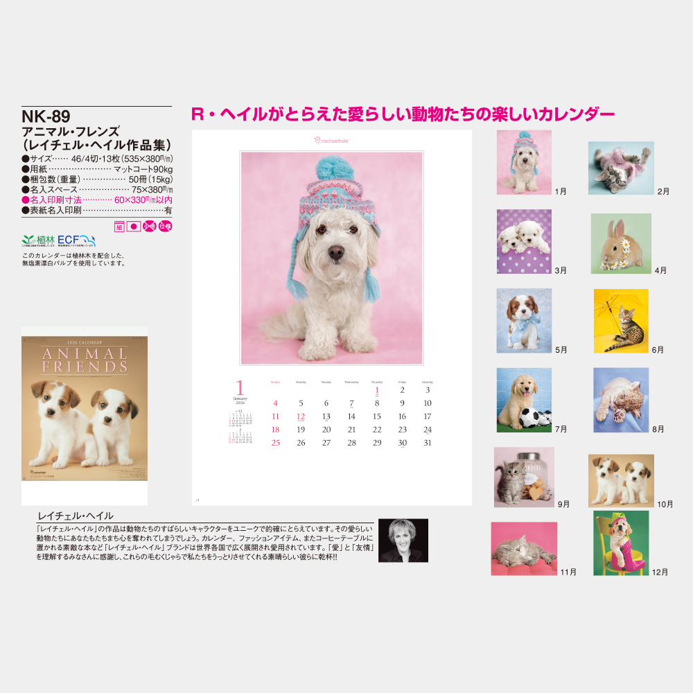 NK-89　アニマル・フレンズ（レイチェル・ヘイル作品集） 3