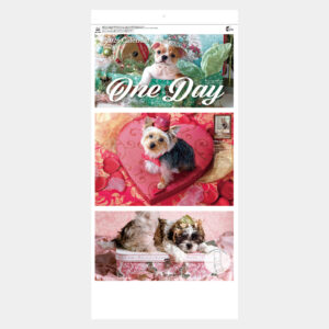 NK-904　ワンデイ（2ヵ月文字） 2