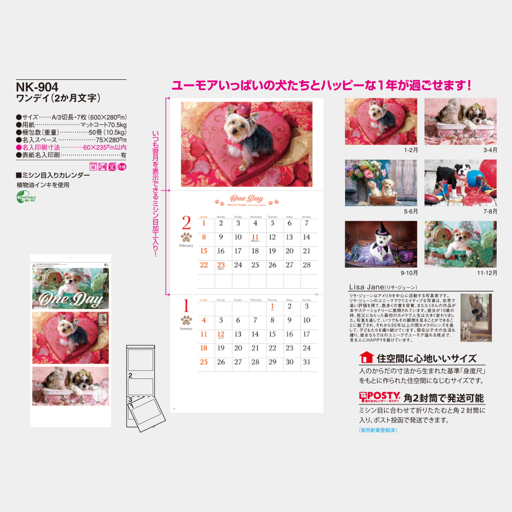 NK-904　ワンデイ（2ヵ月文字） 3